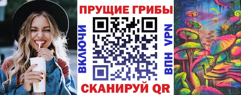 Псилоцибиновые грибы прущие грибы  купить наркоту  Кочубеевское 